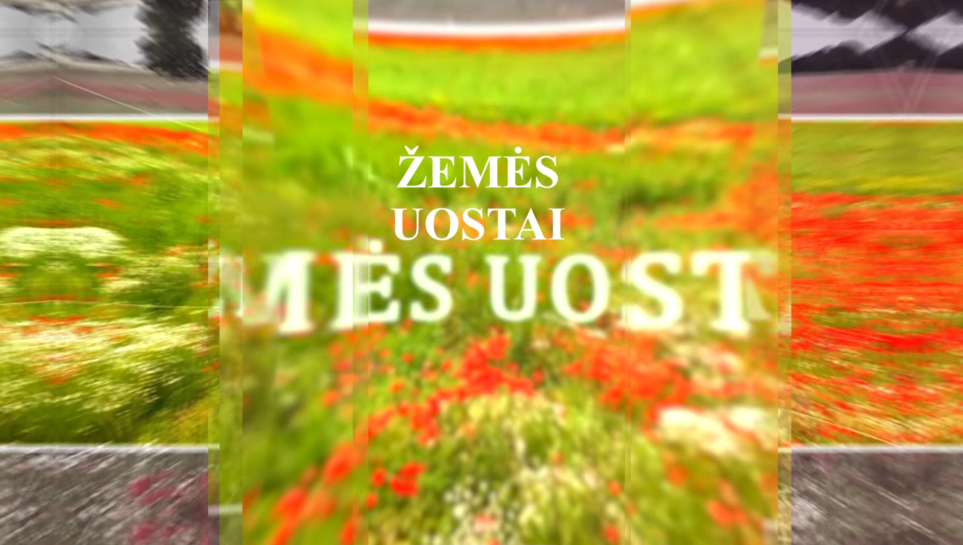 Žemės uostai, 2025, 11 15