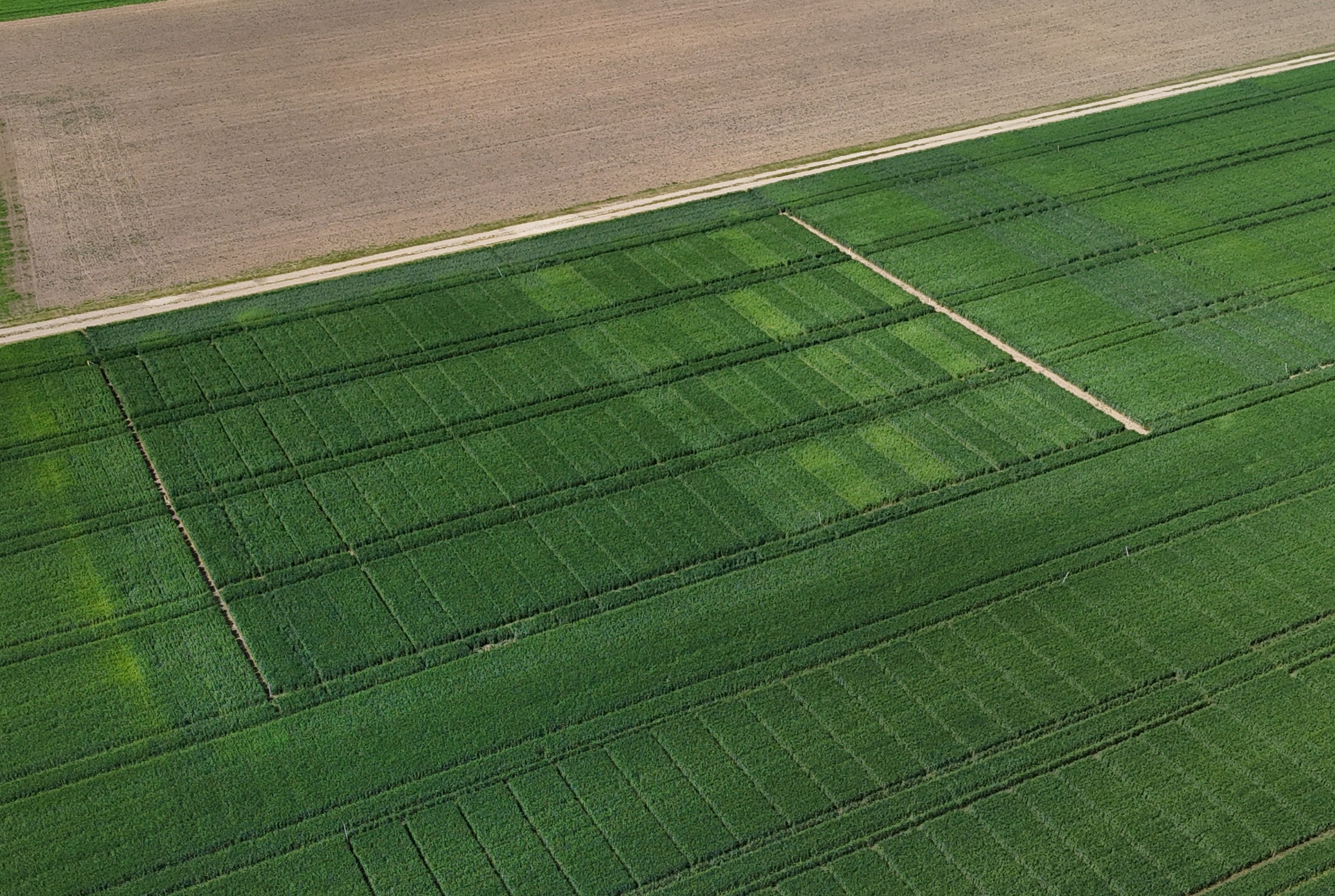 Mažiau trąšų nereiškia mažesnio derliaus