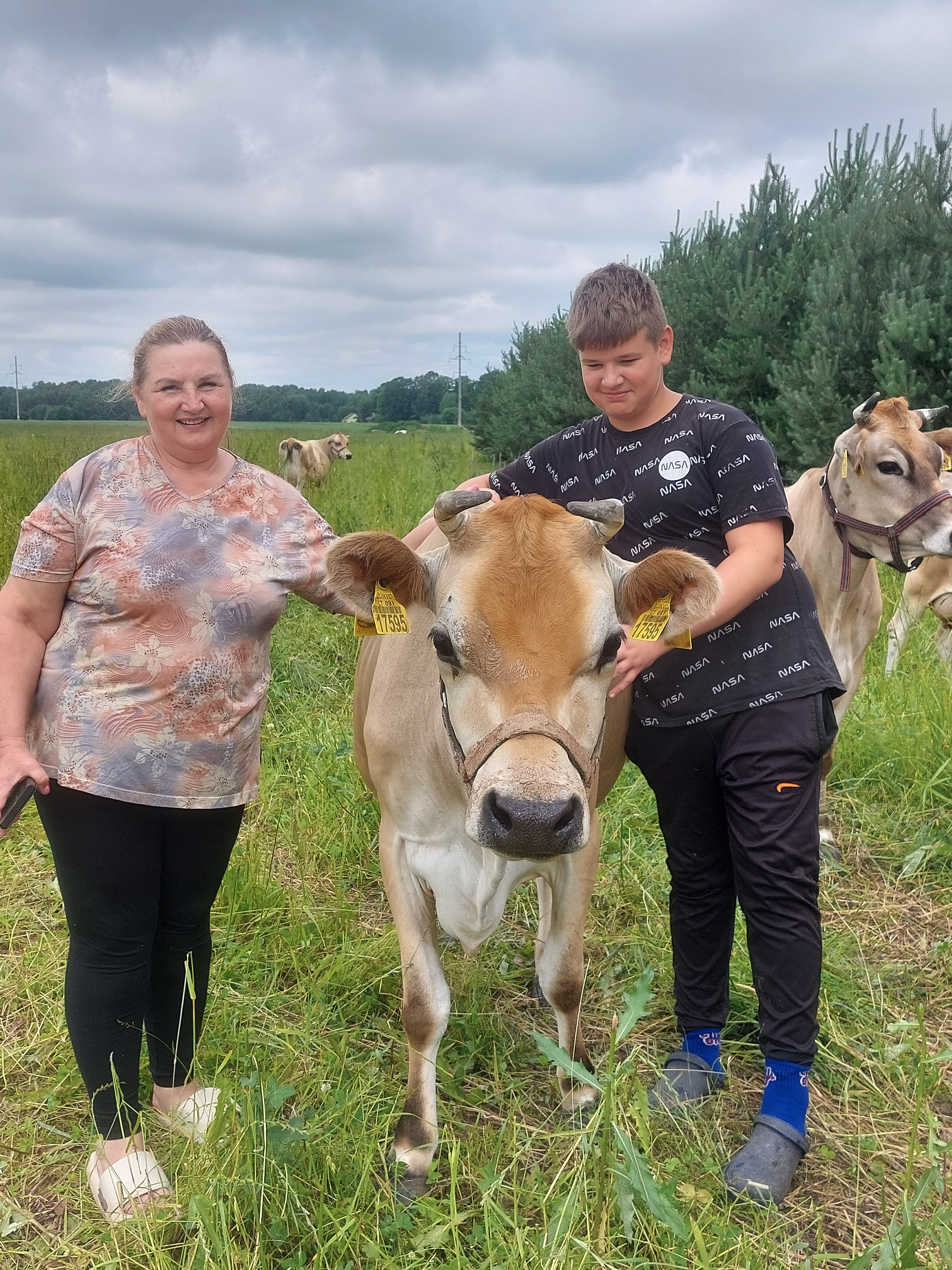 „Džersių veislės karvės man pačios mieliausios...“