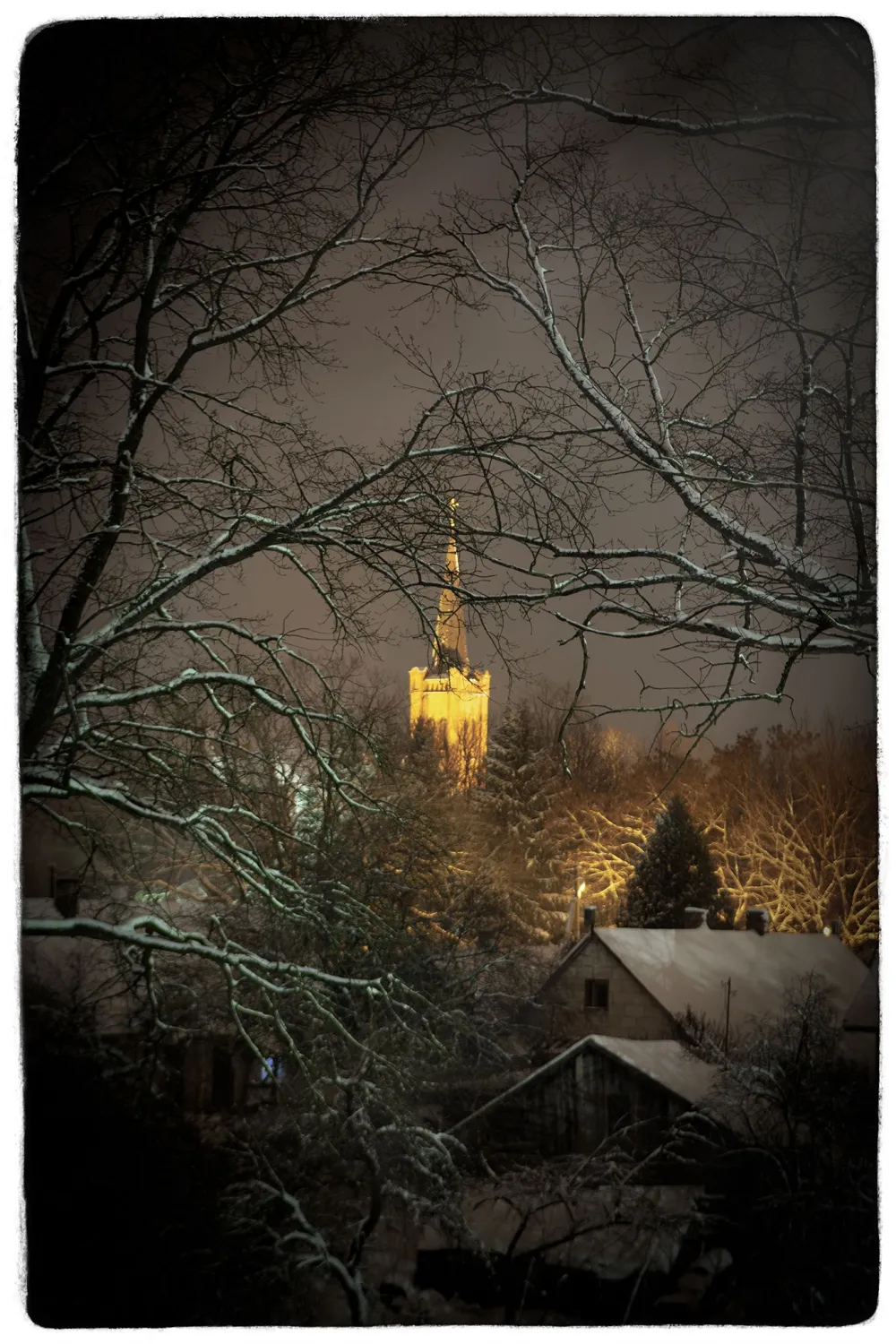 Lina BUIVIDAVIČIŪTĖ