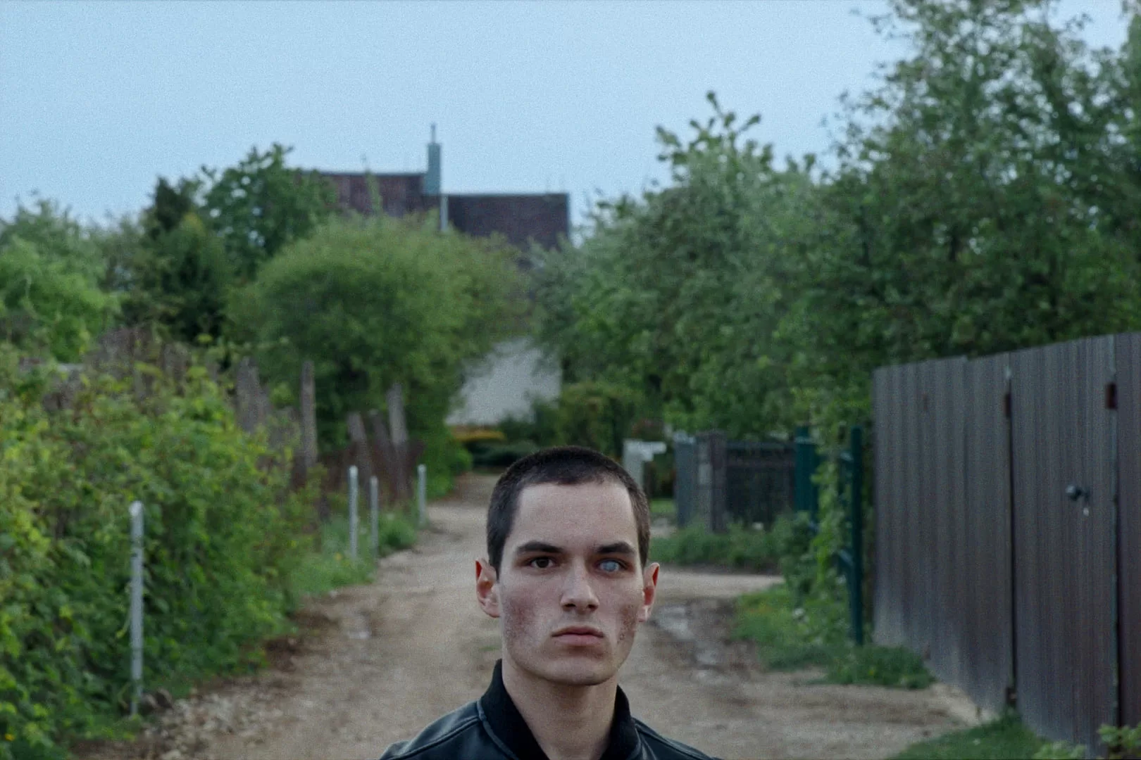 Nėščia svajone ir kaspinuočiu