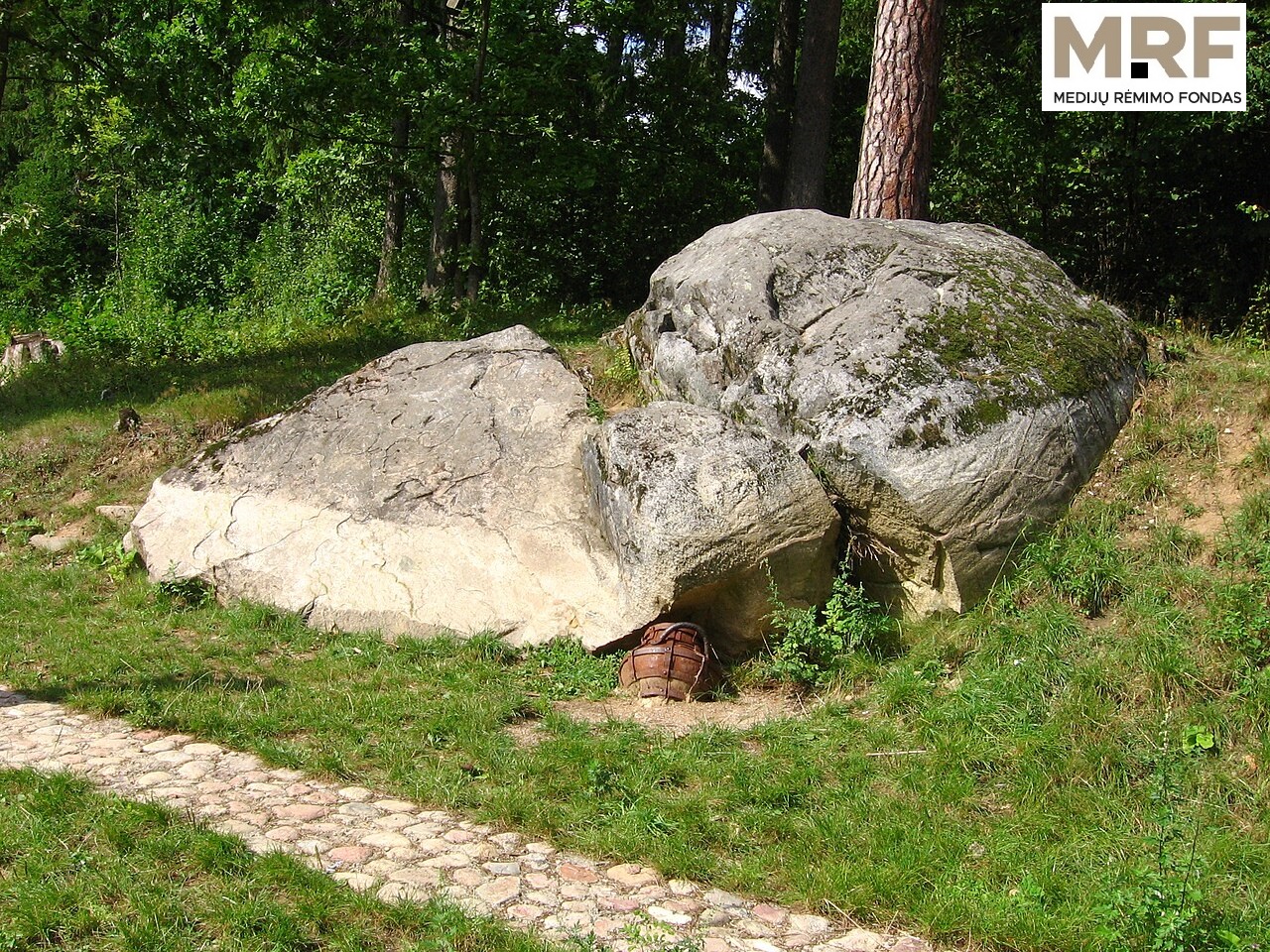 Mokslo langai