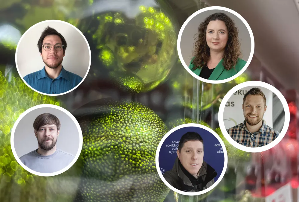 Švenčių palikimas: ką daryti su atliekų kalnais?