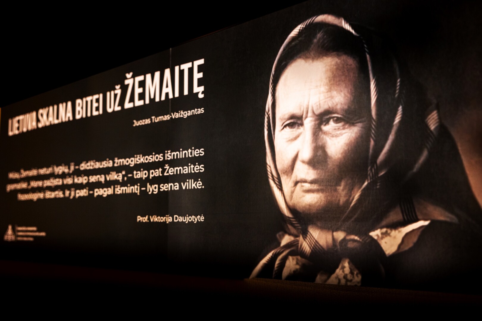 Kaimo moters talentas – iš vargo į literatūrą