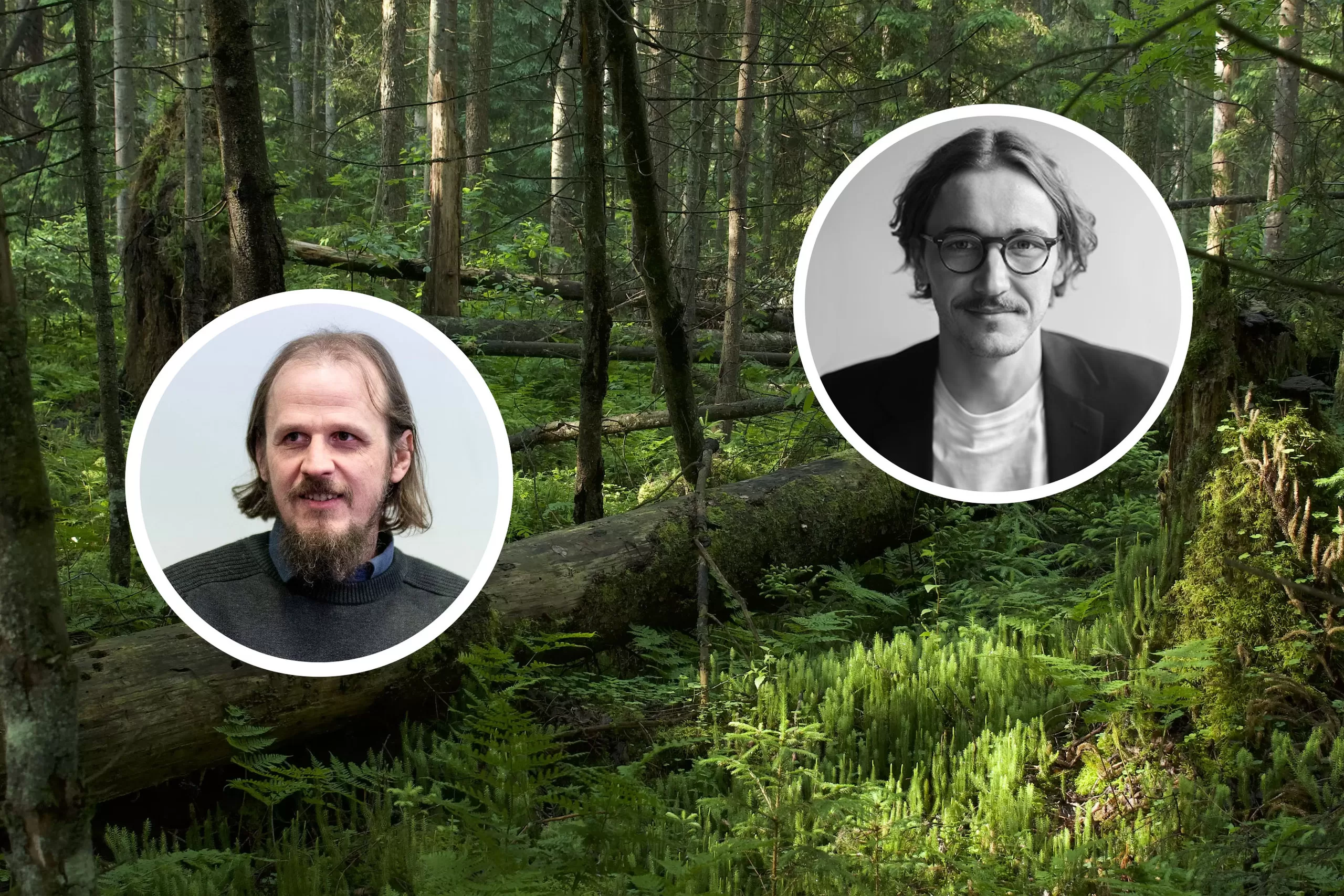 Sengirės fondo įkūrėjas M. Survila: išsaugoję 10 proc. senųjų miškų, Raudonąją knygą galime išmesti į šiukšlinę