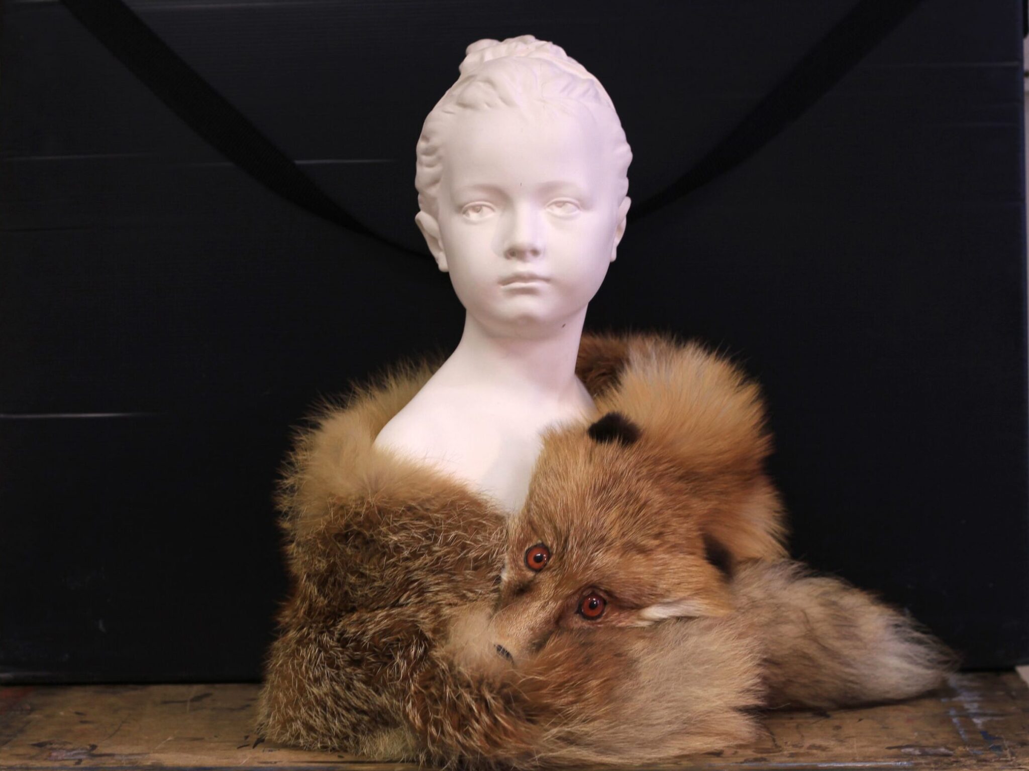 Simonas Schwarzas. Didžioji pornografijos apgavystė