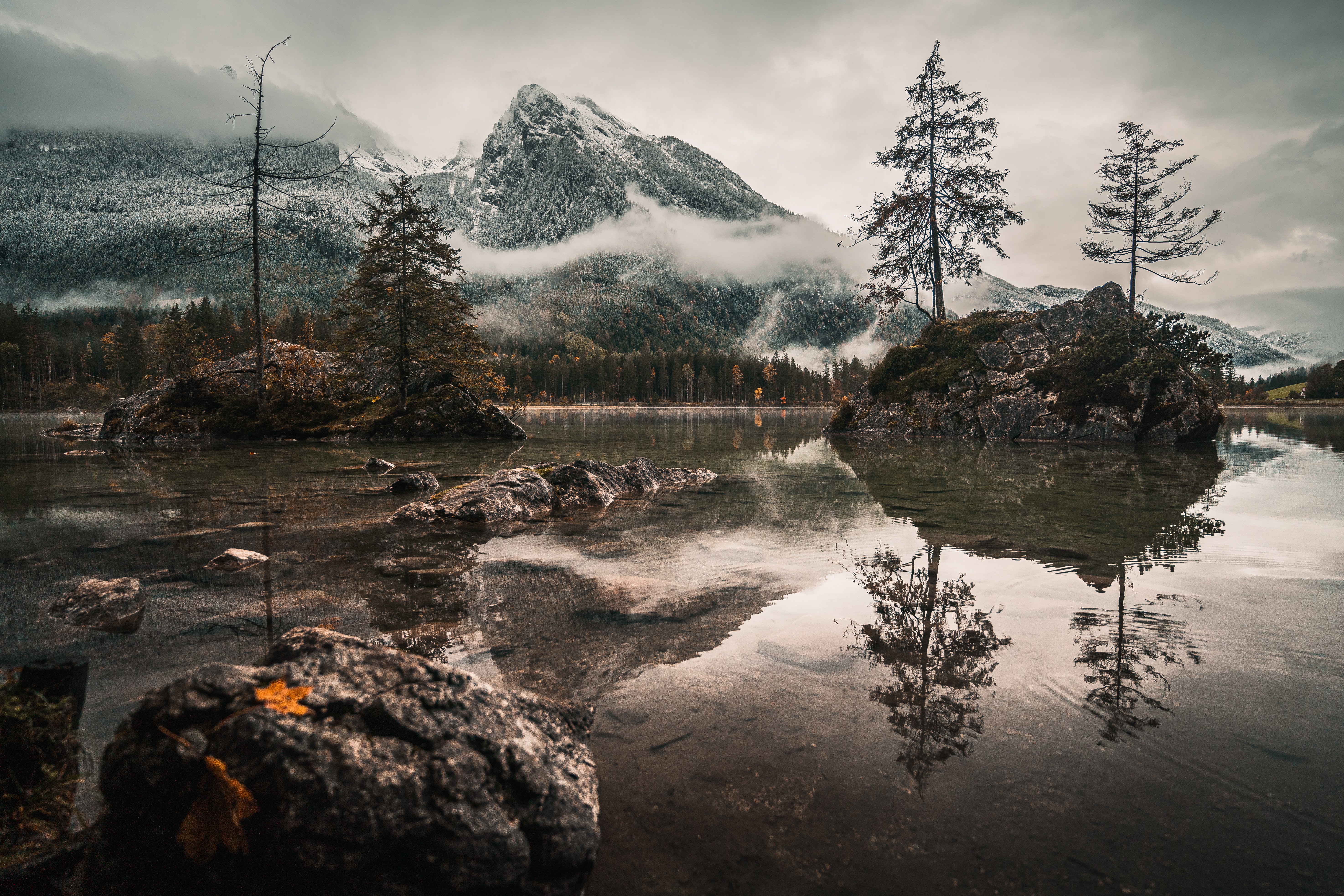 Testuojamas 1 Atzalynas