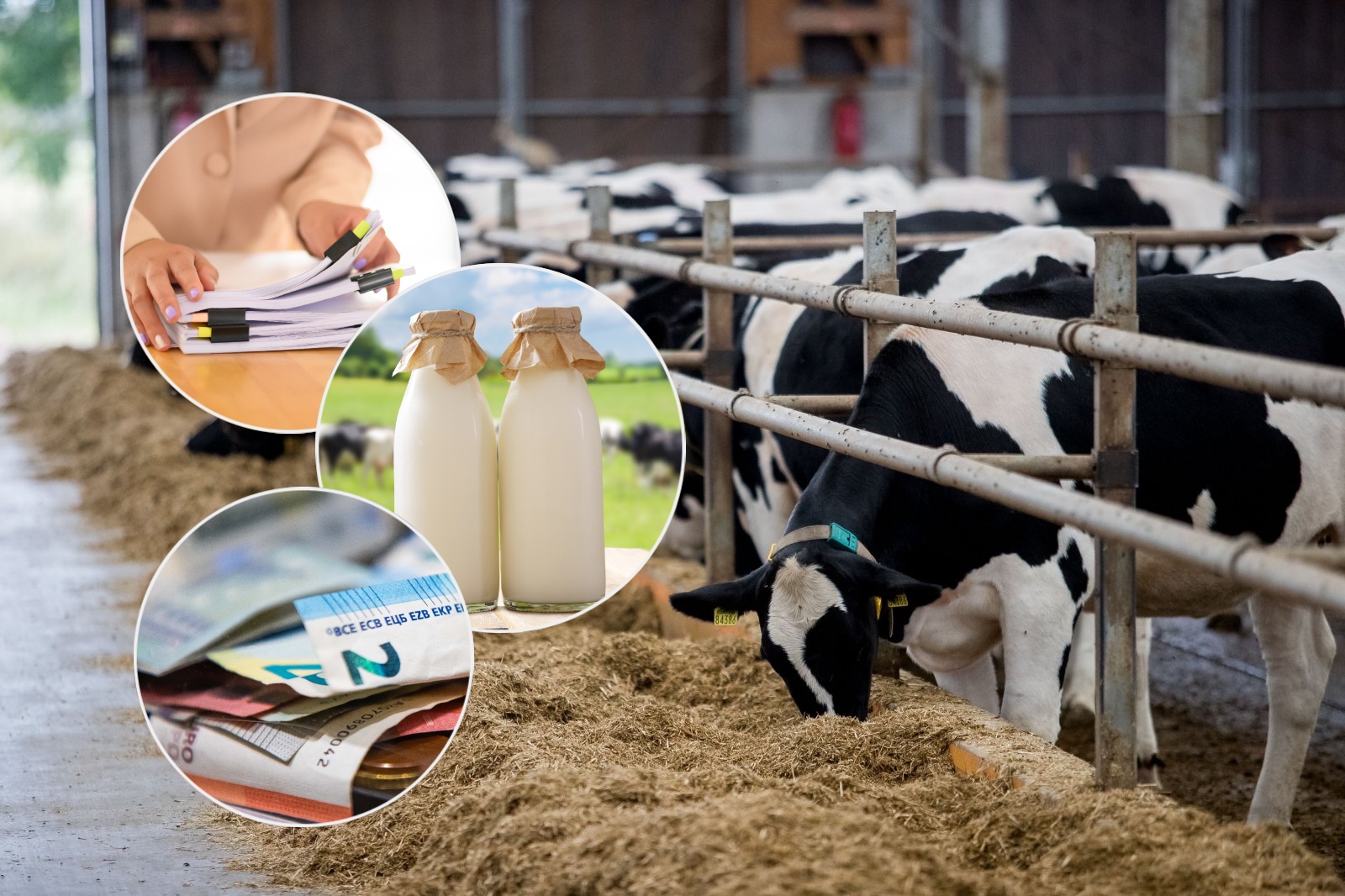 Žemės ūkis: įmonės keliauja iš rankų į rankas, ūkiai skaičiuoja rekordus, bet biurokratai keičia visus planus