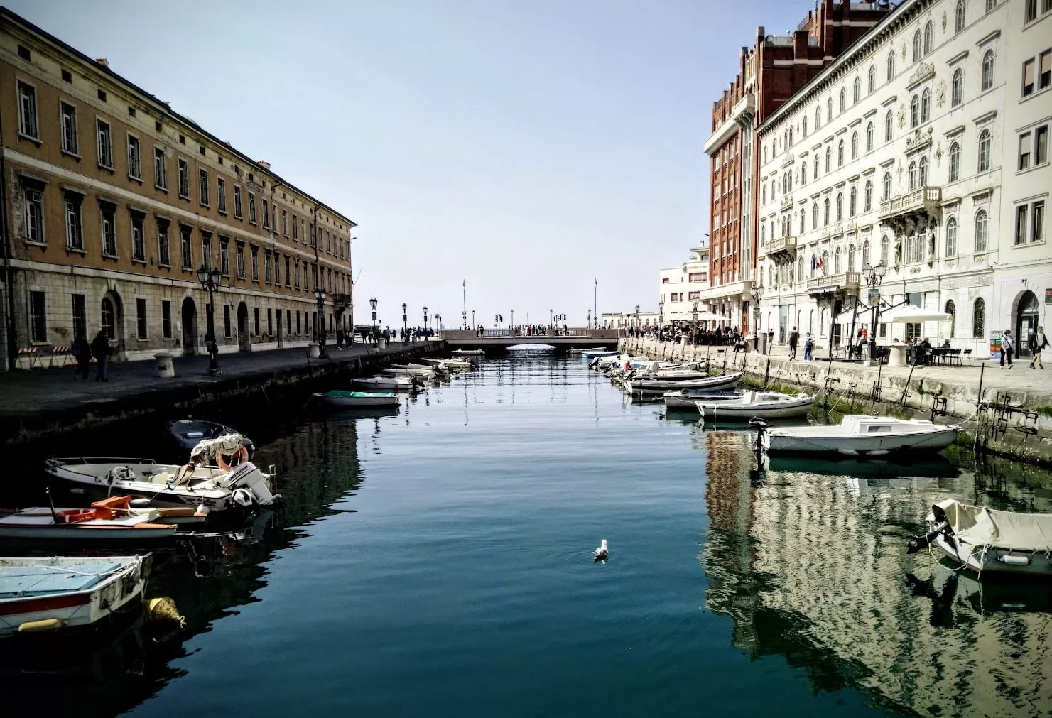 Hondūro pasas ir jachta Trieste