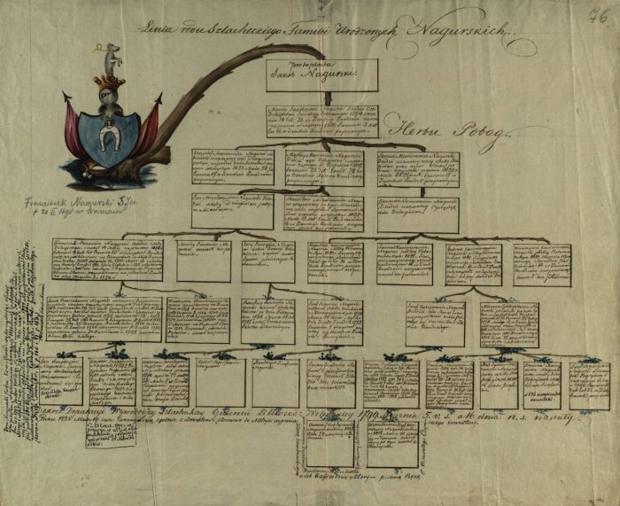 Džiuginėnai: bajorai, dvarai, dvareliai