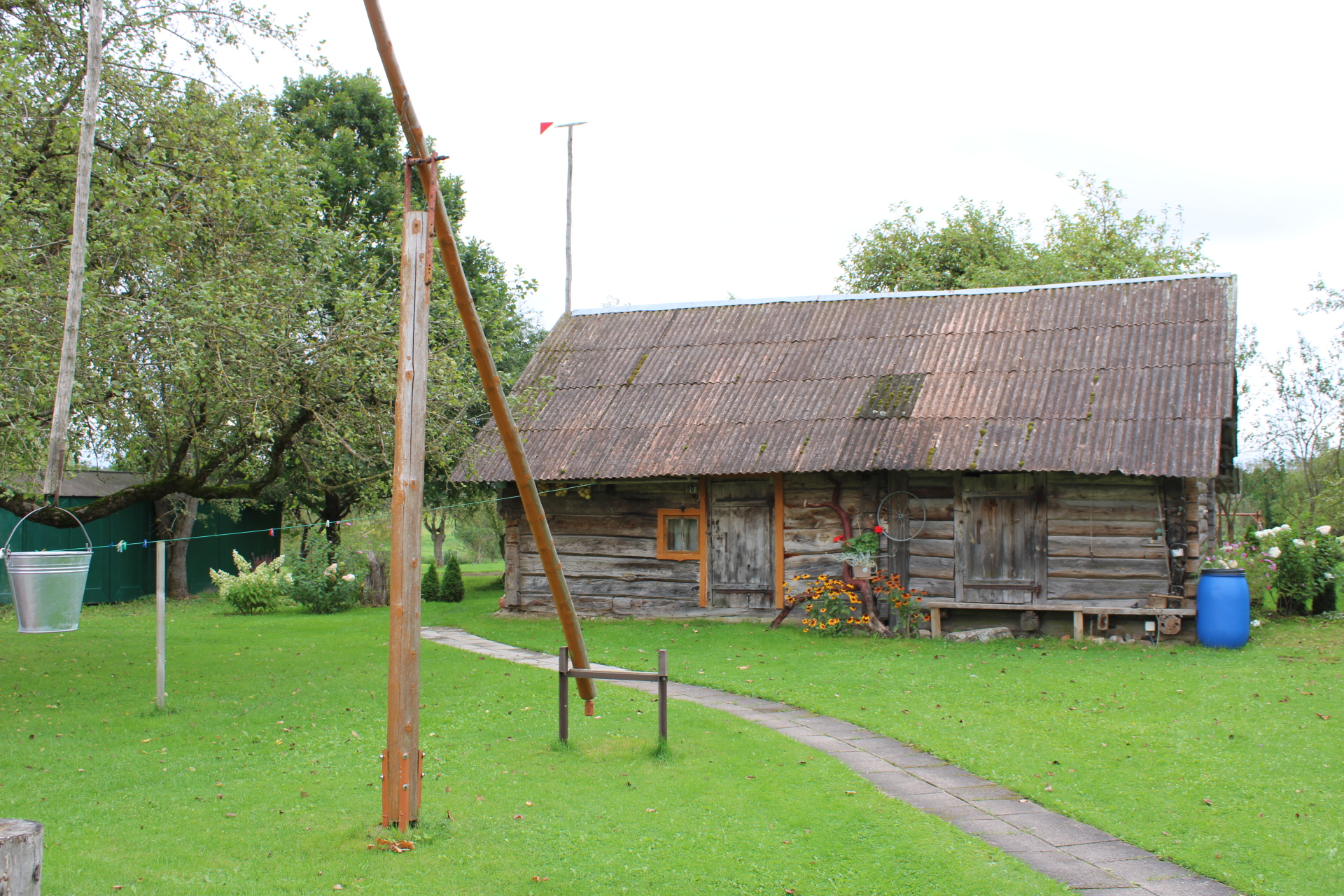 Auksarankis kaimo šviesuolis, šokėjų dulkės, gesinusios lempą, vogčiomis pjauta pakelė ir kantri motina, neišdavusi sūnaus