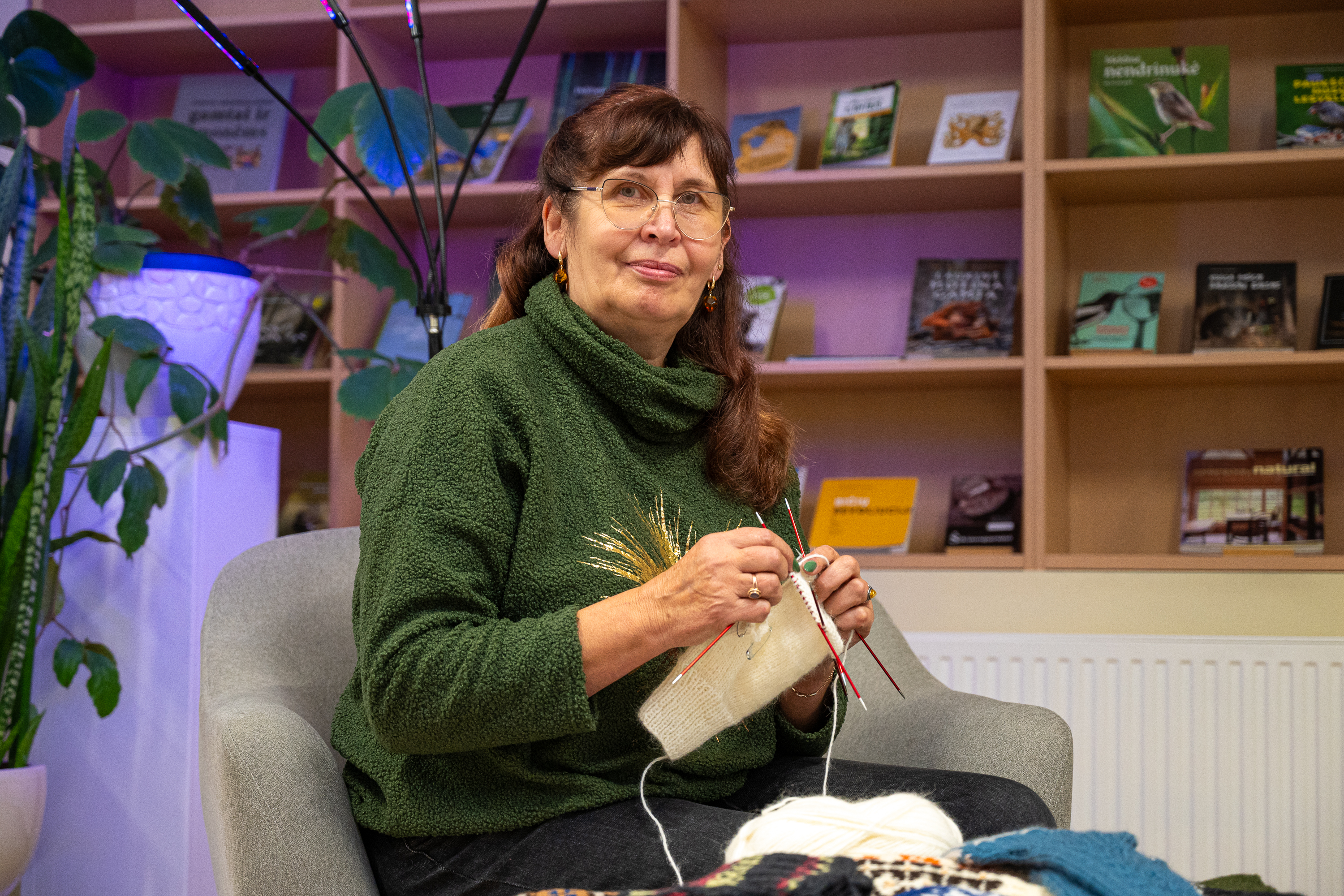 Pasakojimai raštais ir spalvomis