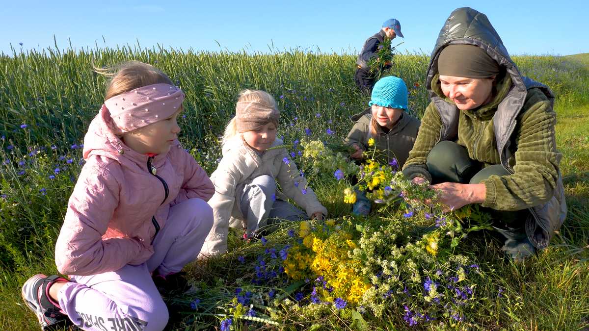 Ilgiausios dienos šventės tradicijos lietuvių kultūroje