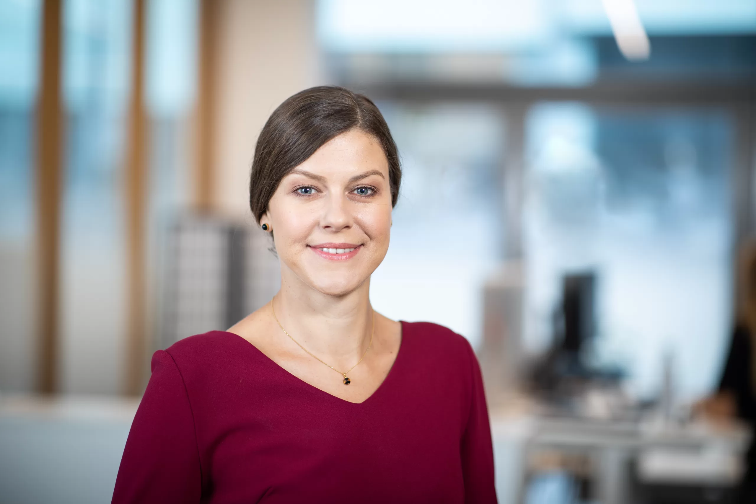 Seime priimtas 2026 metų biudžetas. Kaip gyvensime kitąmet? Komentuoja ekonomistė I. Genytė-Pikčienė