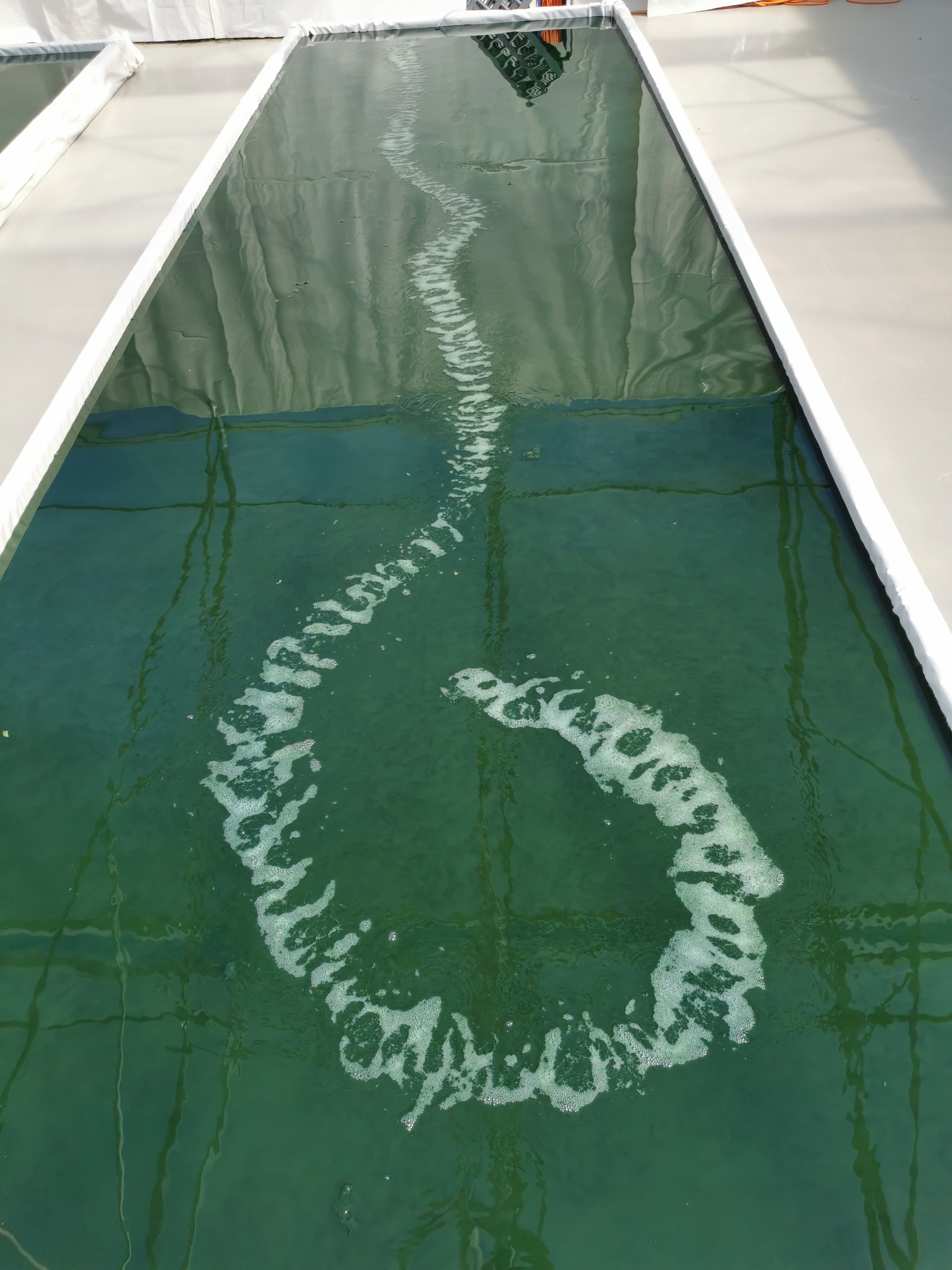 Dumblių nepavalgysi, bet užsikąsti sveika