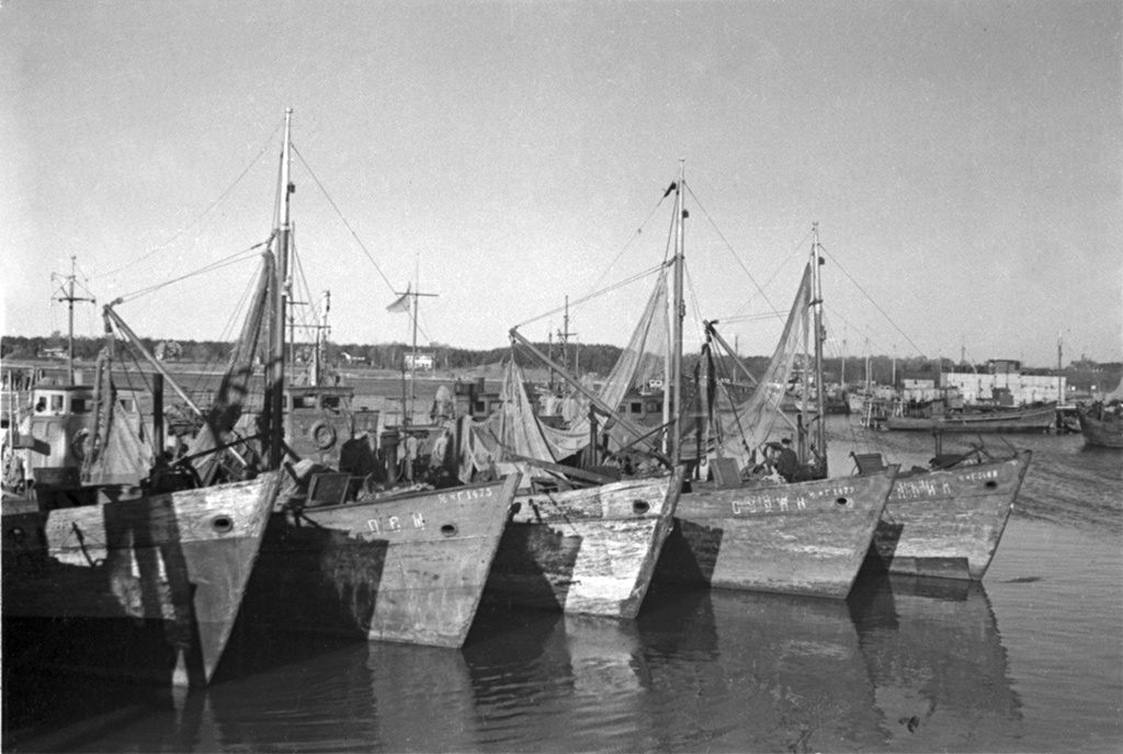 Didelės valdos Kuršių nerijoje – milijonieriams