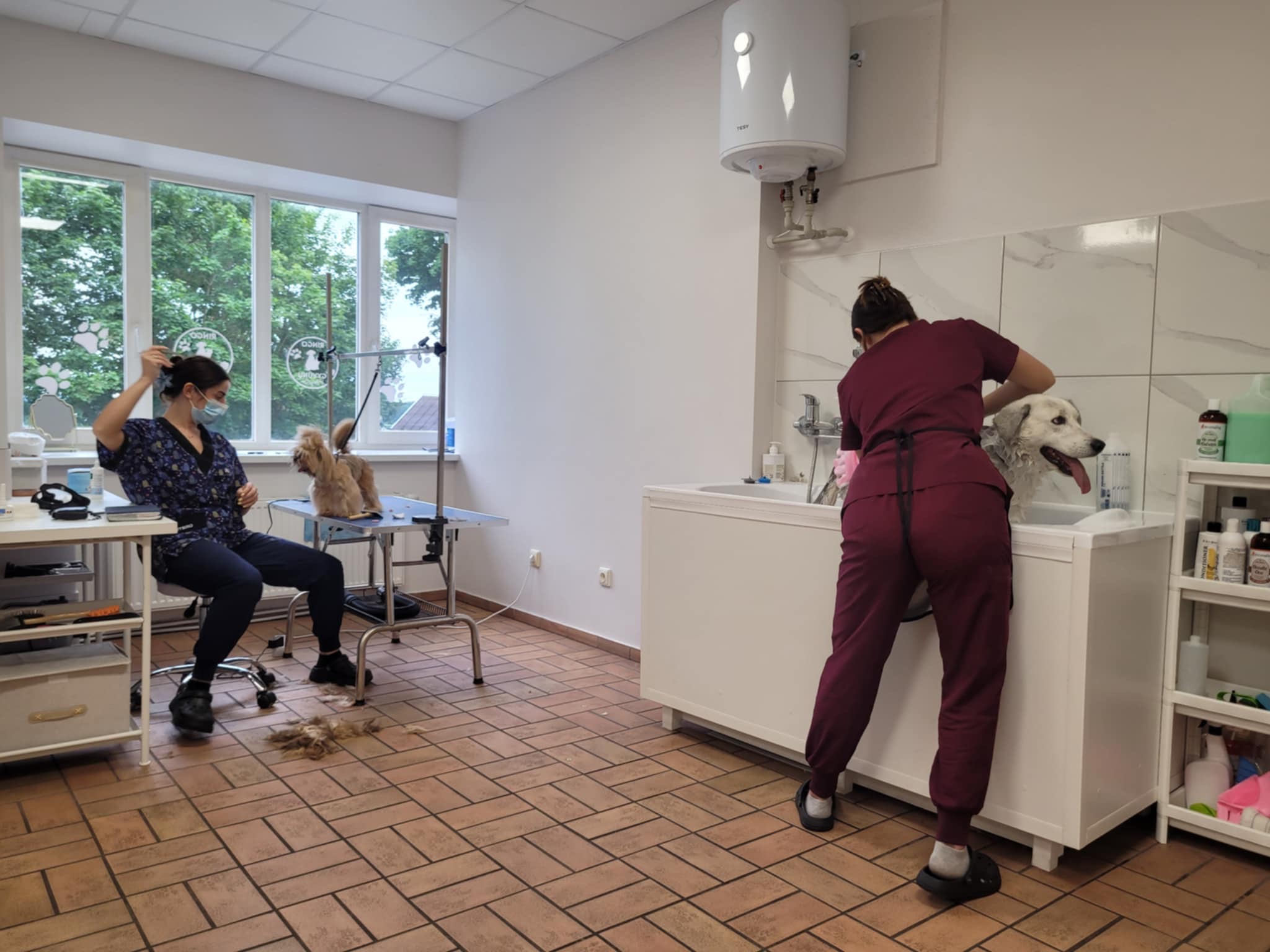 Jaunos merginos nelaukė manos iš dangaus