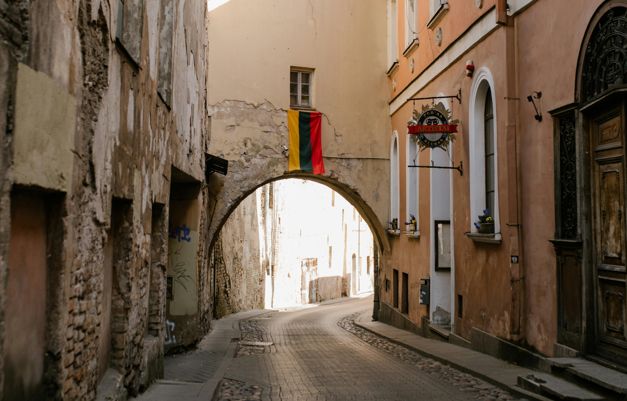 „Istorinės paralelės“. Ką turi daryti mažos valstybės, kad išliktų?