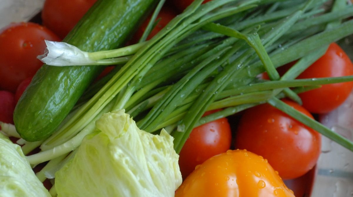 Ekologinių ūkių plėtrą žodžiais skatina, reikalavimais stabdo