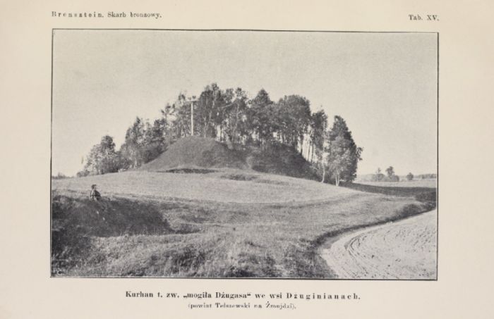 Džiuginėnai: bajorai, dvarai, dvareliai