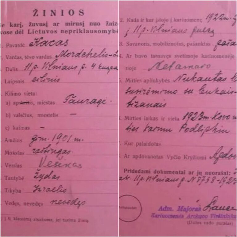 Jaunystė, paaukota Lietuvai