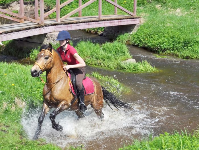 Mamos ir dukros pasaulis – tarp žirgų