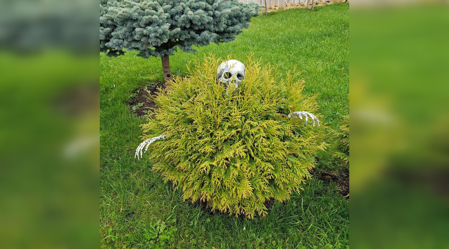 Savas tradicijas jau ima užgožti svetimos