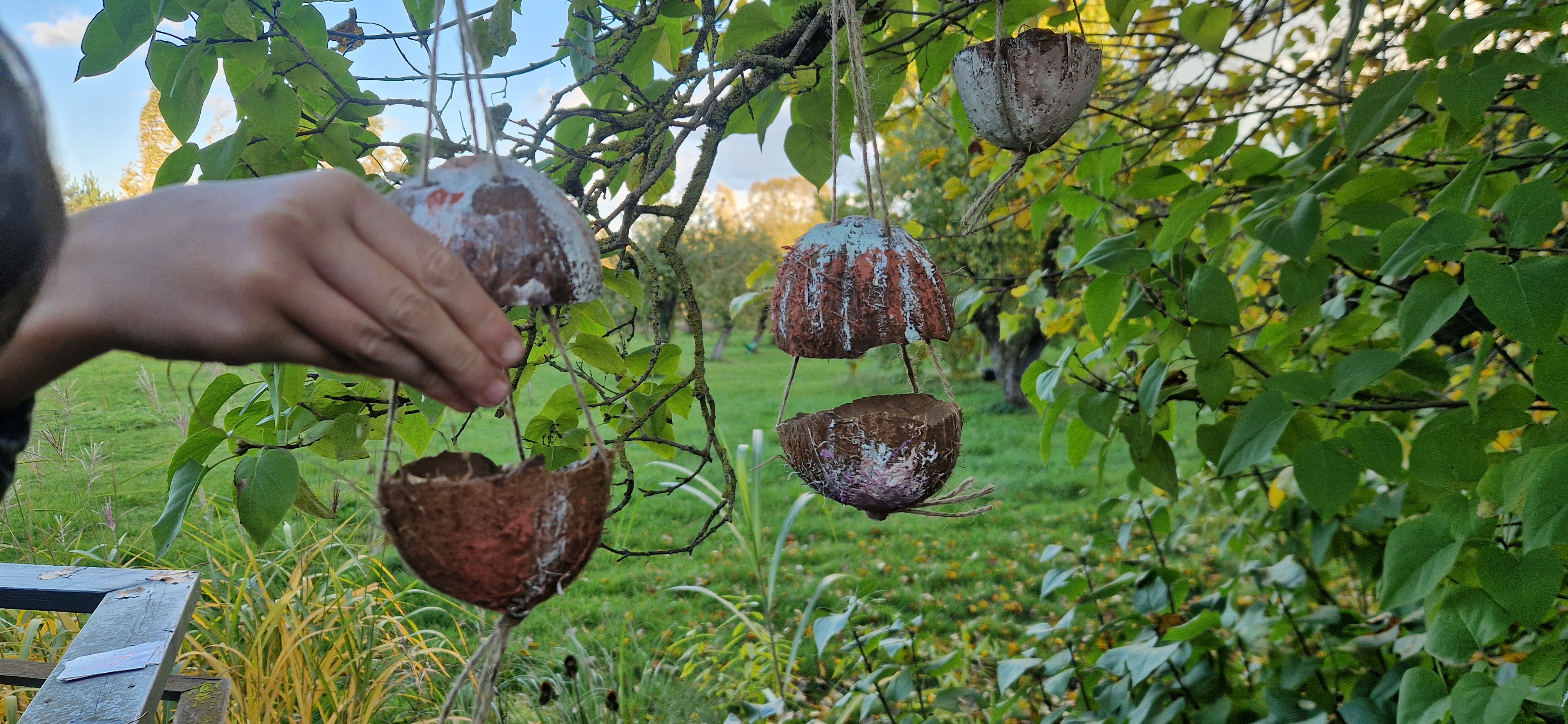 Sveiko maisto restoranėlis paukšteliams