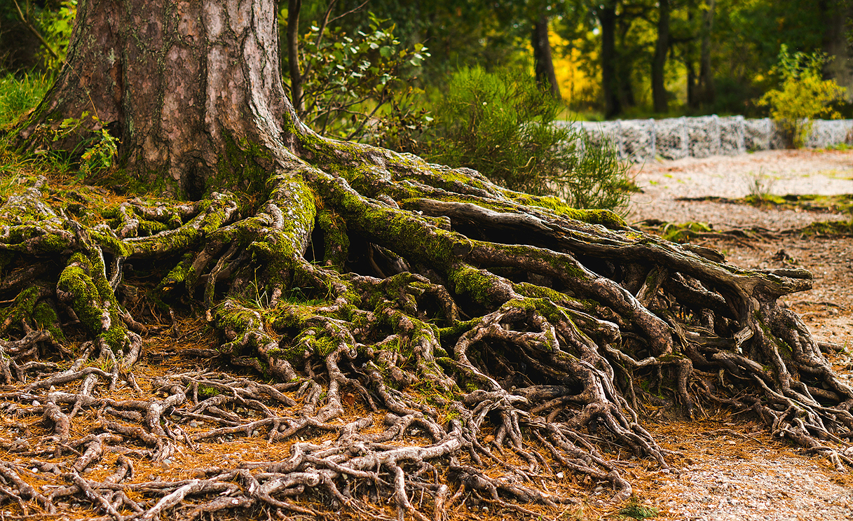 Iš kur esame ir kur einame