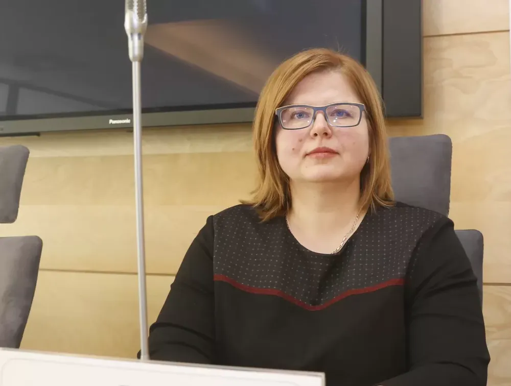 Su kokiais iššūkiais susiduria globėjai?