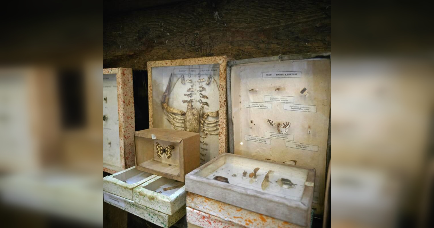 Malkinėje įkūrė muziejų: buvo aptikta ir itin reta vertybė