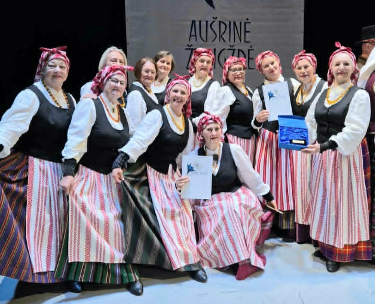 „Pinavijos“ sėkmė tarptautiniame šokio festivalyje-konkurse „Aušrinė žvaigždė“