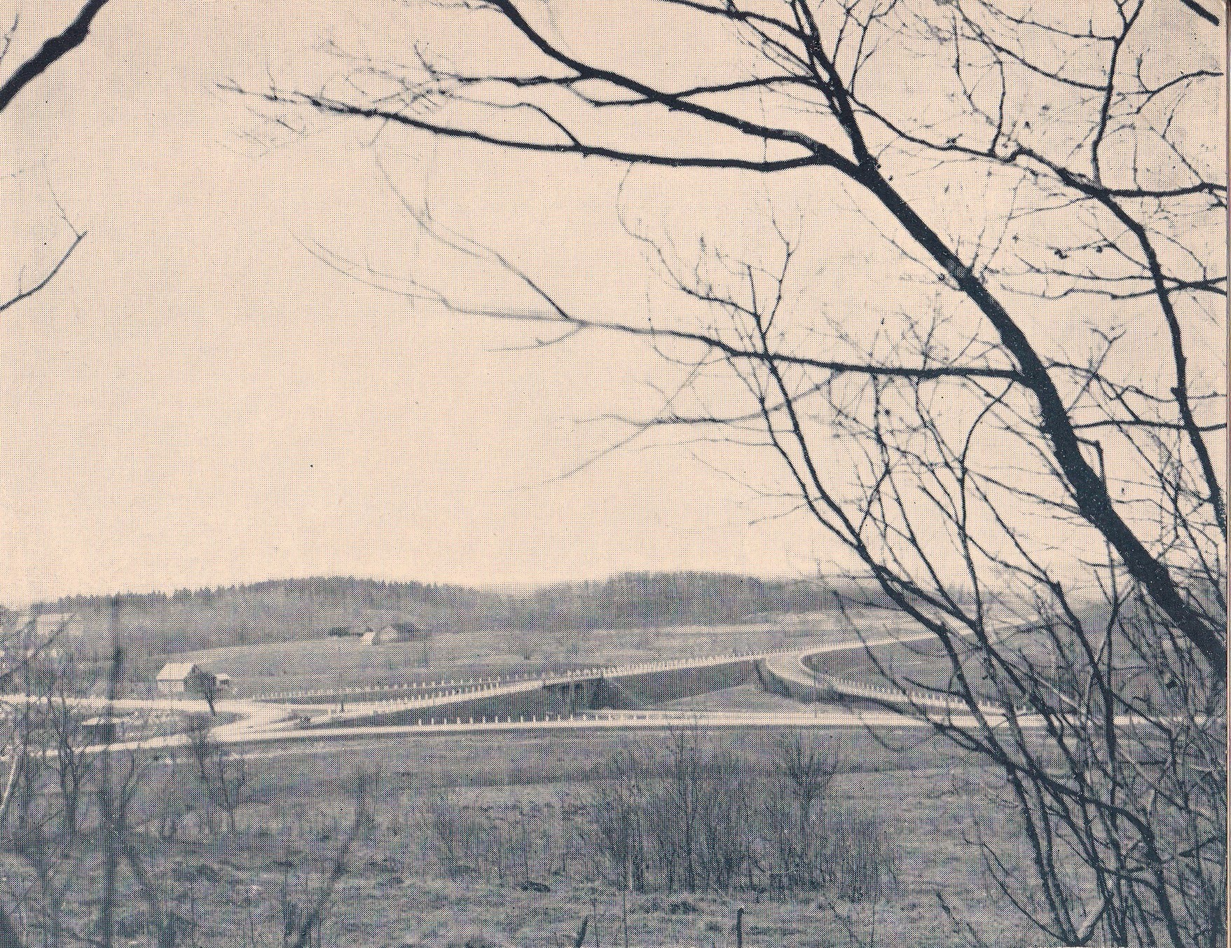 Plentų tiesimas aplink Tauragę (I dalis)