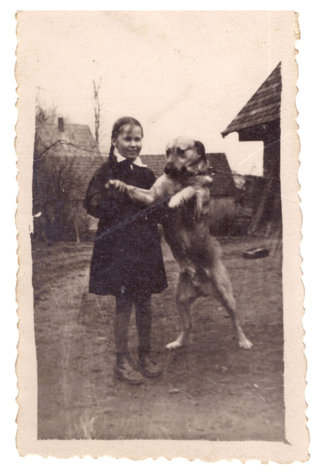 Nurodė naikinti benamius šunis