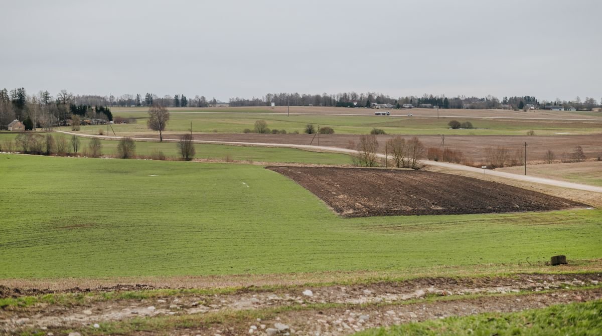 Tvarus žemės naudojimas: ką kalba skaičiai ir kaip atrodo Lietuva