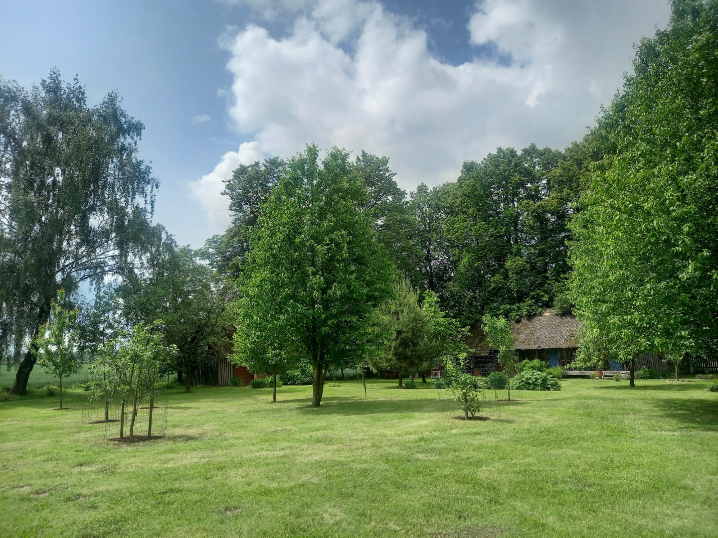 Ar pažįstame save: lietuvių įpročiai, gimę prieš šimtmečius