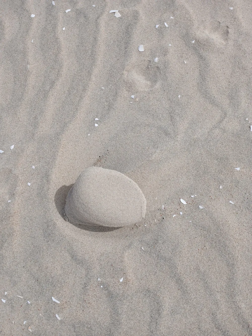 GINTARO LAŠAI. Daiva MOLYTĖ-LUKAUSKIENĖ