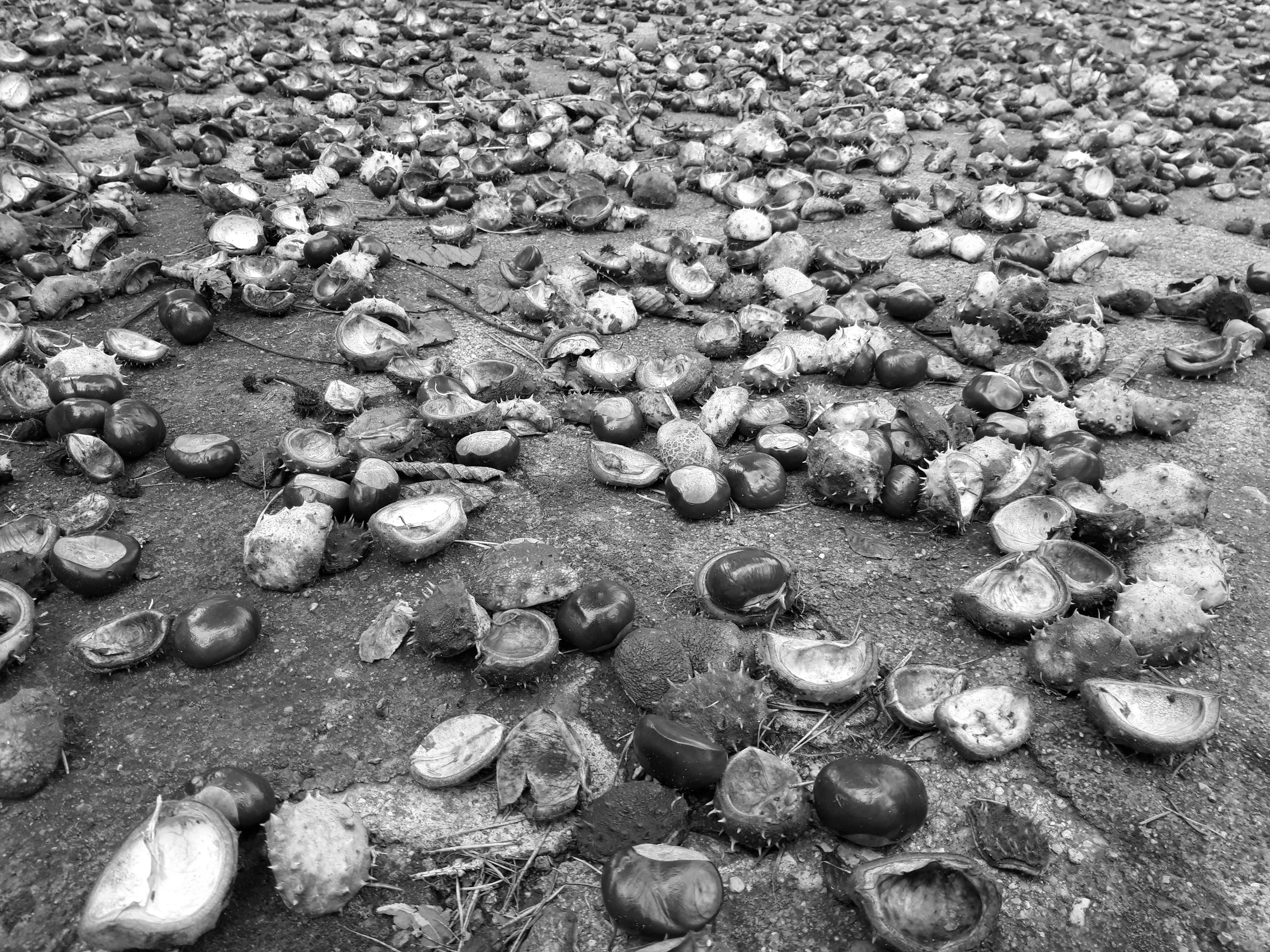 Reda Kiselytė. Sentencijos