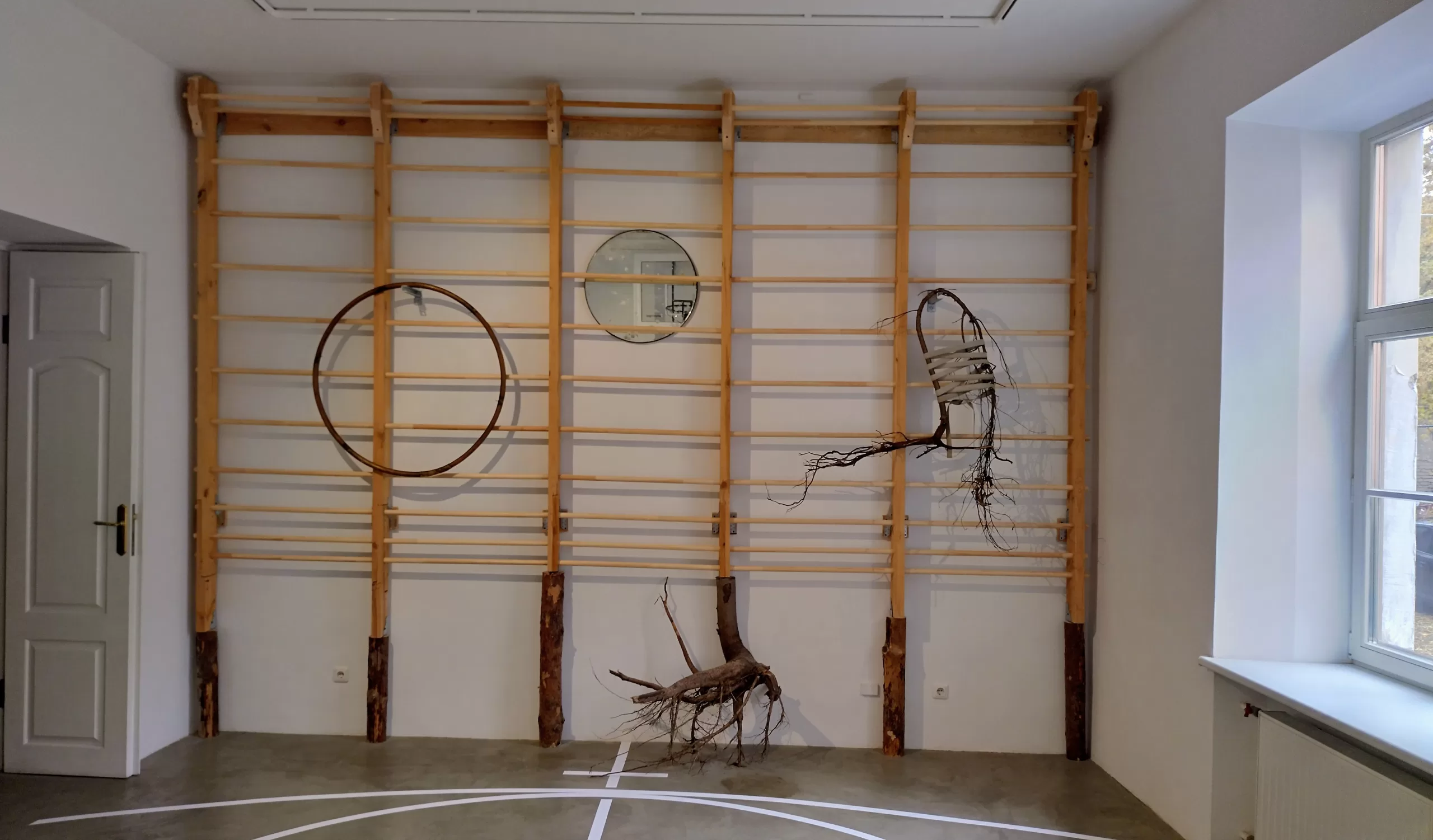 Pagiriamasis vaizdas kvailybei