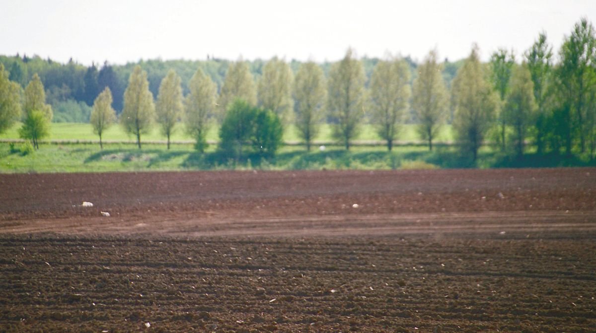 Klimato kaitos šešėlis krinta ir ant žemės rinkos?