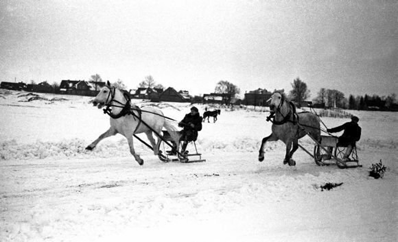 Žirgų lenktynės „Sartai“ – sportas ir paveldas