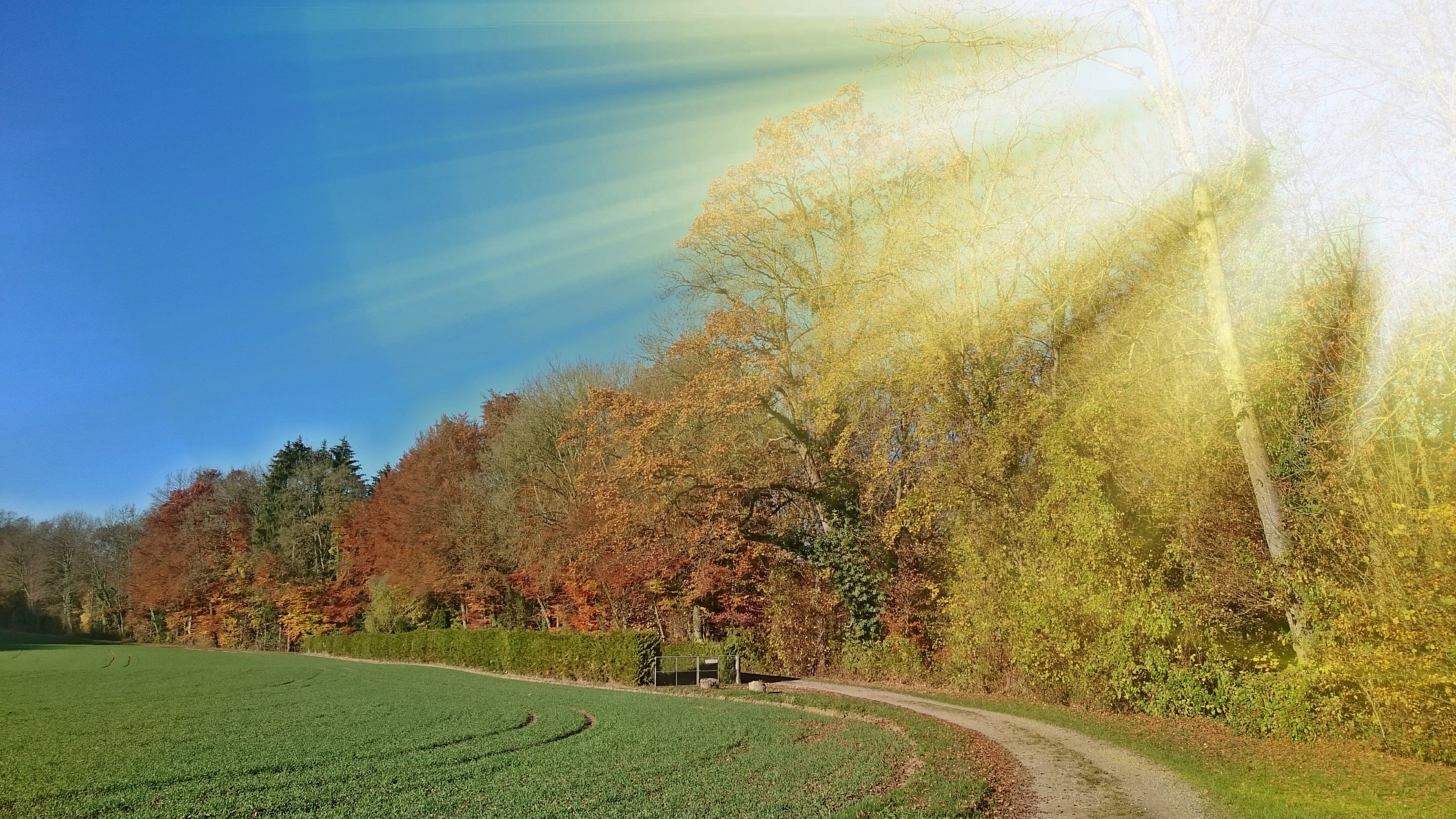 Nuo Šilinių iki Mykolinių: rugsėjis – tradicijų kupinas mėnuo