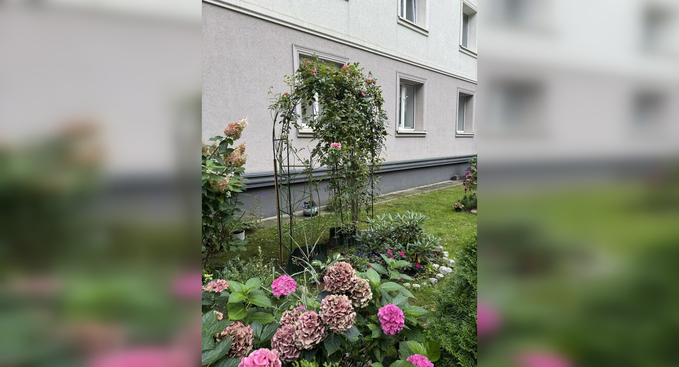 Gėlynai subūrė kaimynus: po namo renovacijos daugiabutis skendi gėlėse