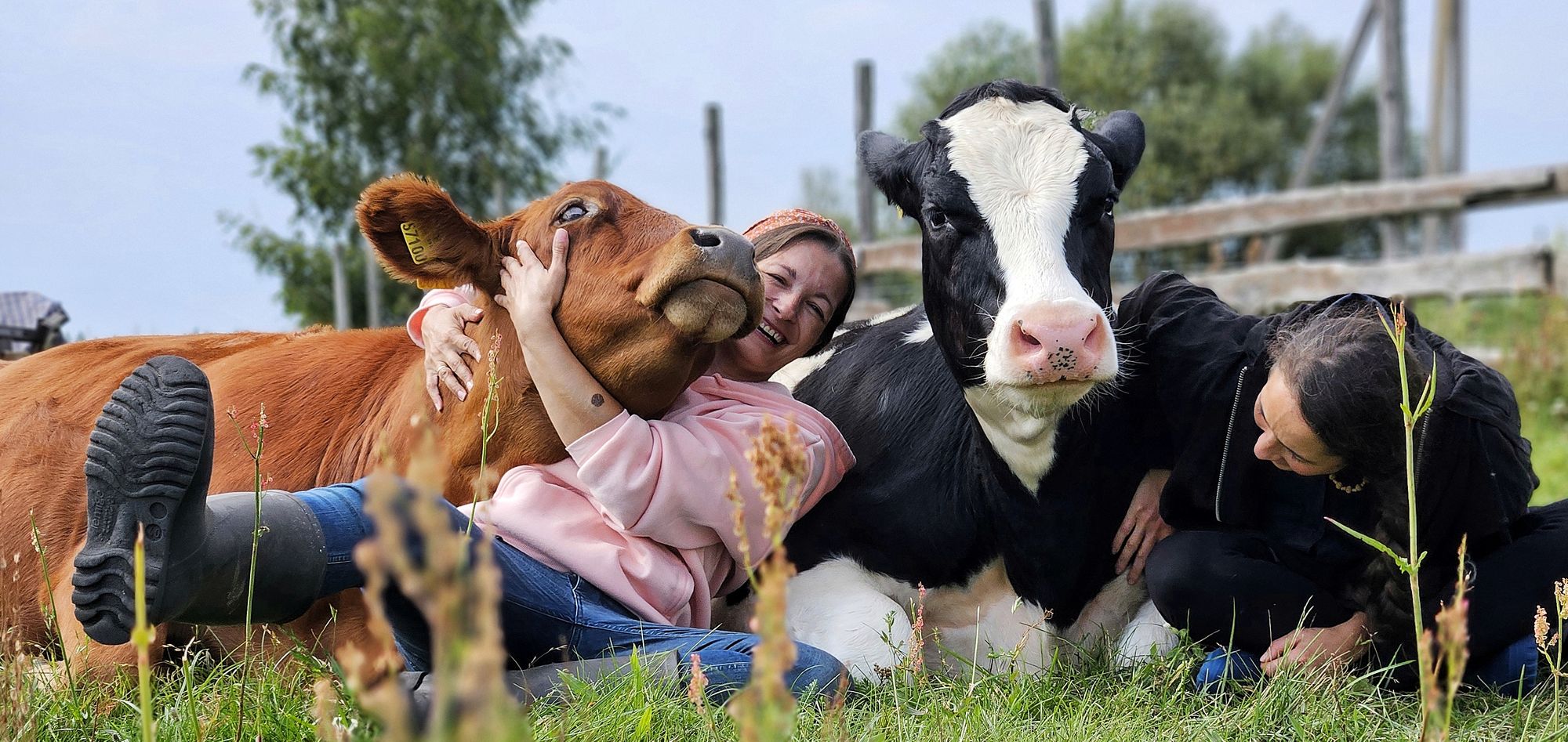 KAIMĄ KEIČIA ŽMONĖS, O KAIMAS – ŽMONES   Į „Ąžuolų vilą“... glostyti karvių