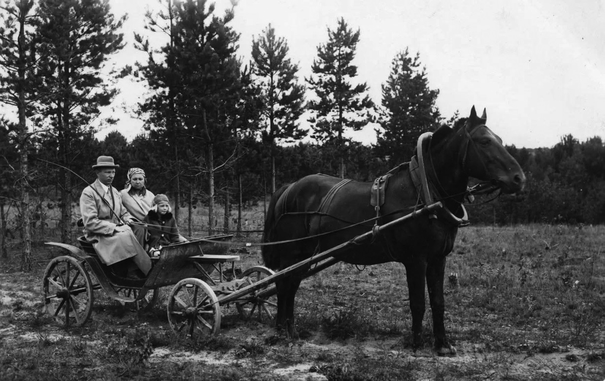 Į Gražiškių atlaidus – arklių traukiamais vežimais
