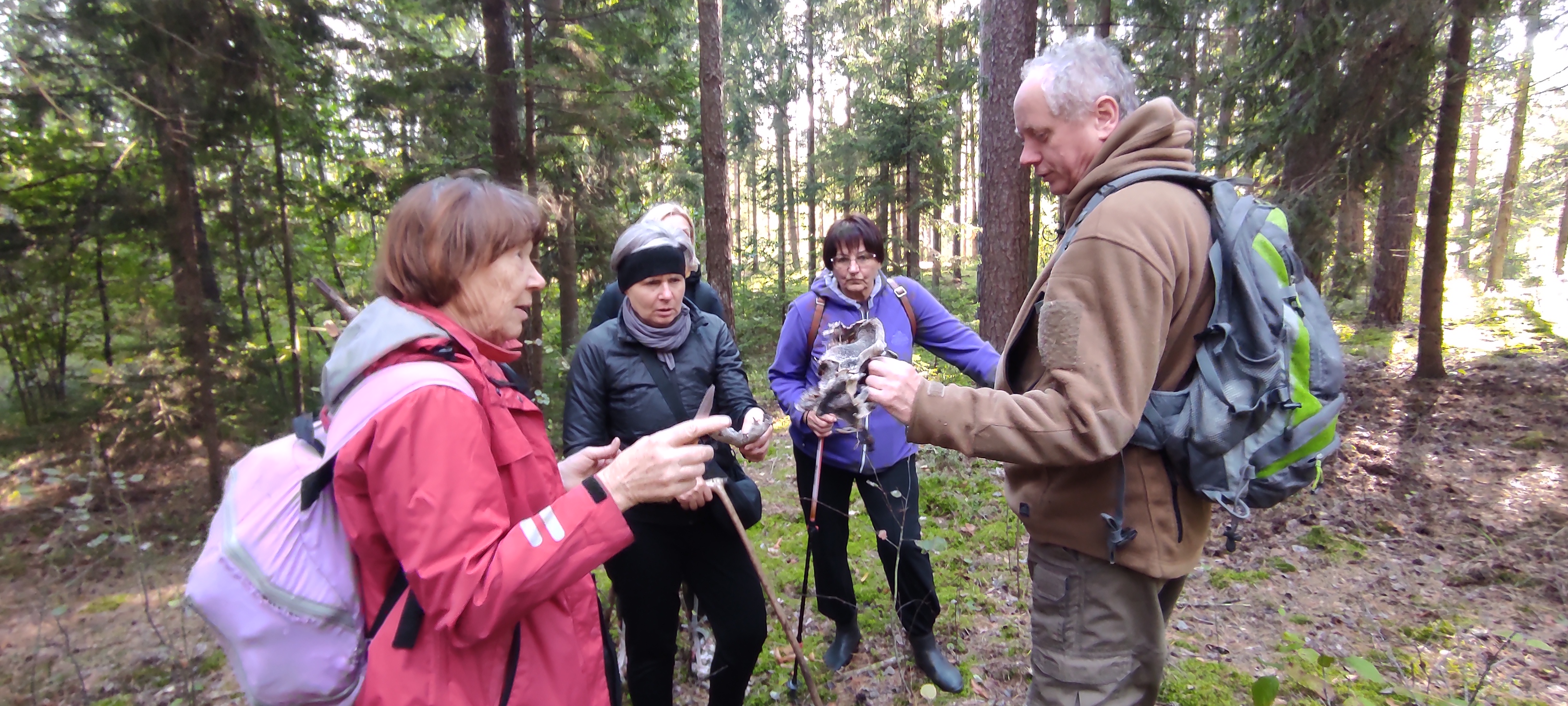 Revuonos upelis – ne vien srauni tėkmė, bet ir bebrų užtvankos, pelkės klampynė (II)