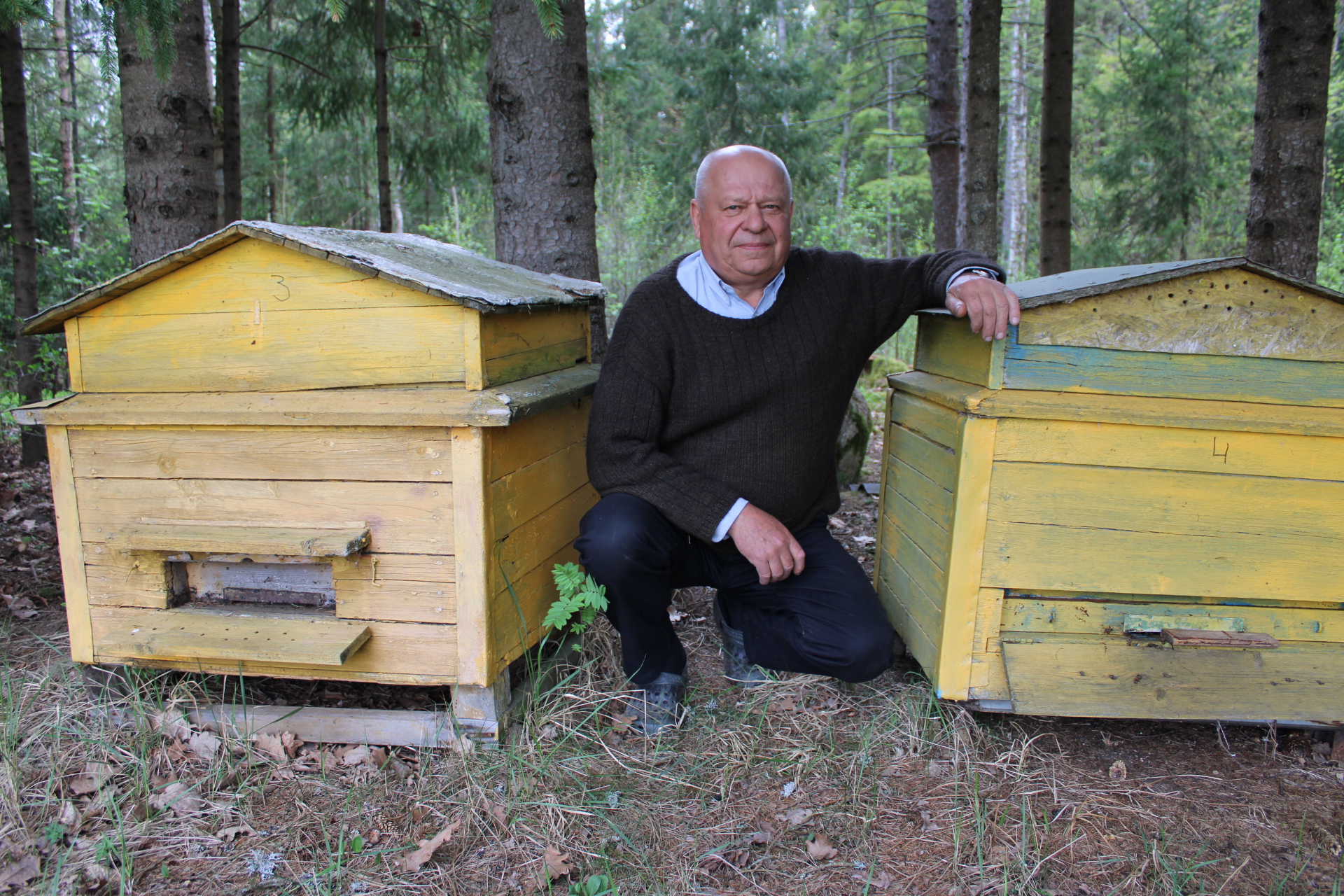 Stipruolis prosenelis, pasendintas veidas, arklių špekuliantai ir kodėl reikėjo pievas šienauti naktį