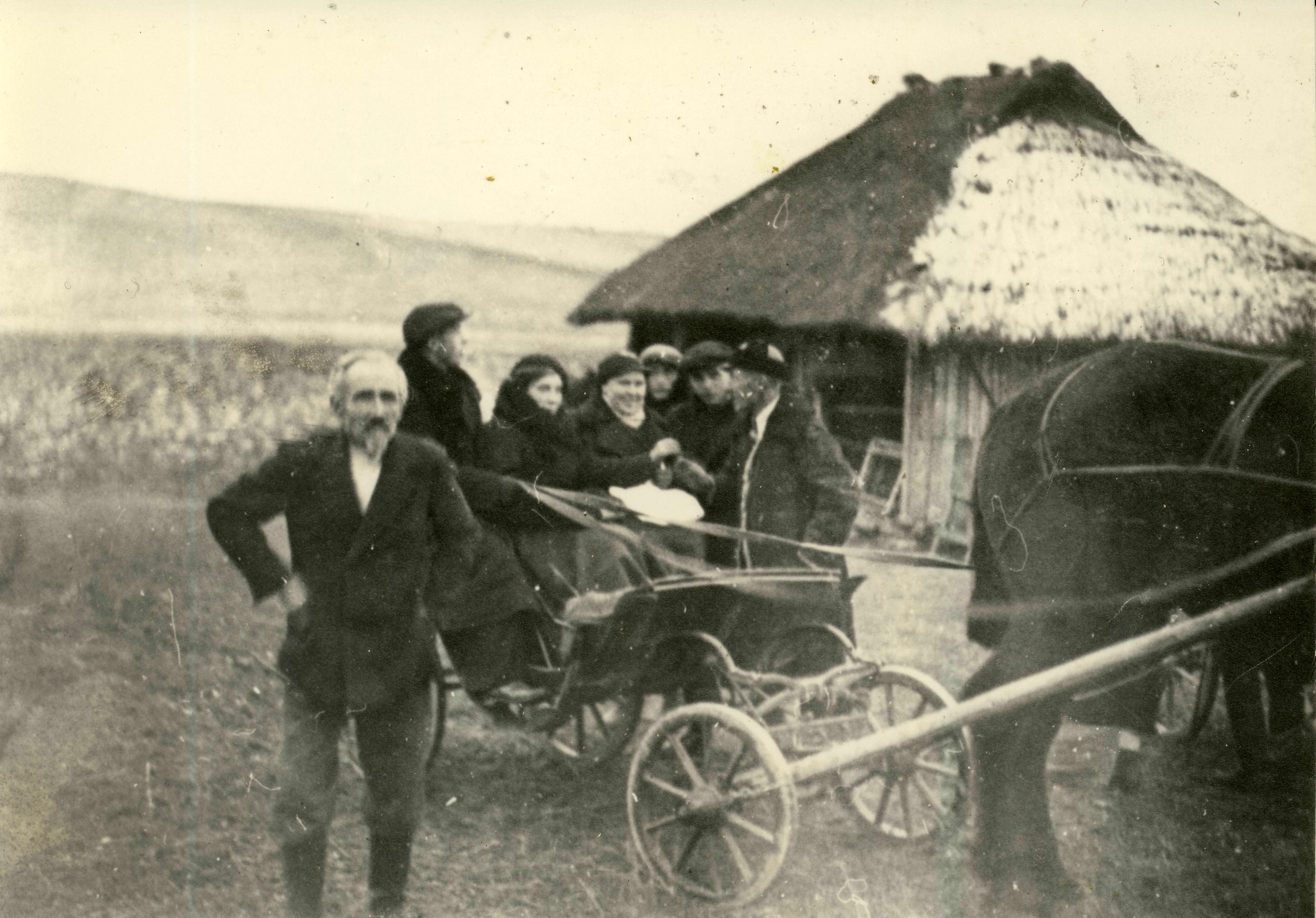 Užpalių, Vyžuonų ir Leliūnų krašto kryžiai