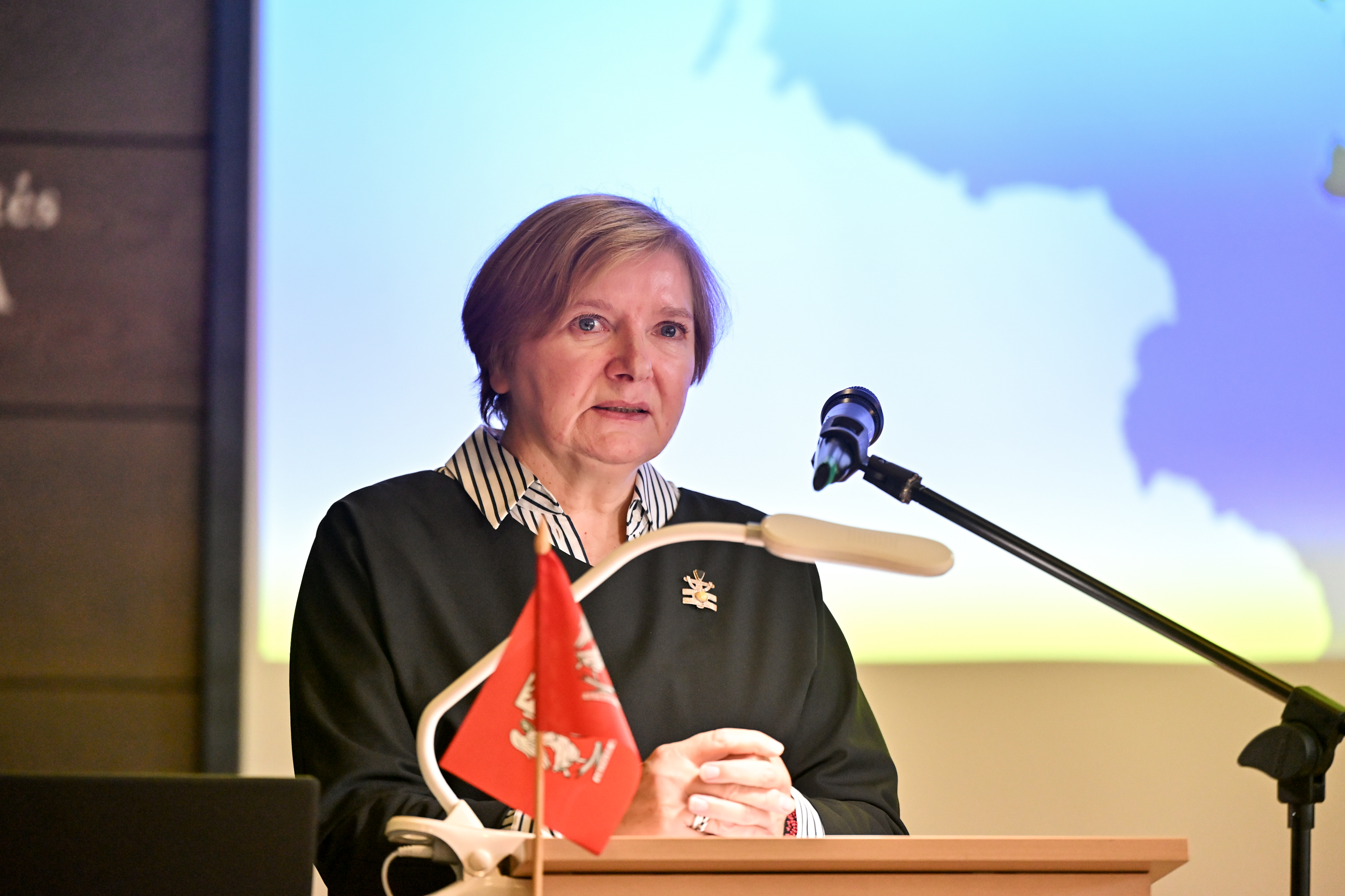 Aukštaitijos sostinės problema