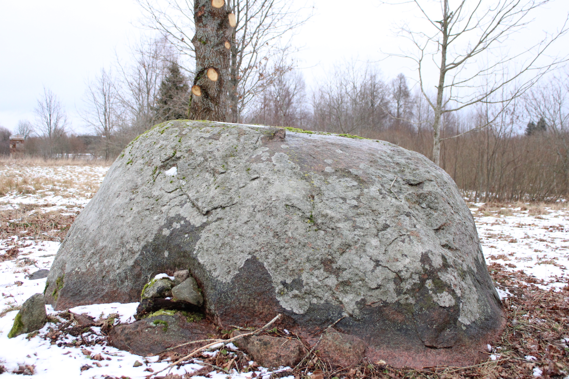 Automatų nepagauti bėgliai, apsukrus kaimo seniūnas ir greitas kaip bitė auksinis gyvulys